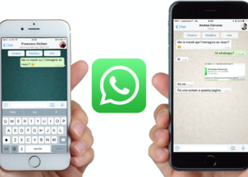 How to Transfer Whatsapp Business Chats Between IOS and Android