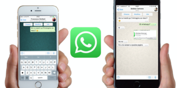 How to Transfer Whatsapp Business Chats Between IOS and Android