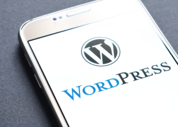 Why you should use plugins on a WordPress site