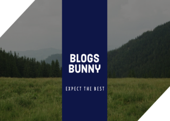 BlogsBunny Review