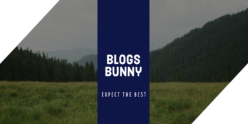 BlogsBunny Review