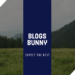 BlogsBunny Review