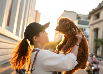The Best Neighbourhoods in Singapore for Families with Pets