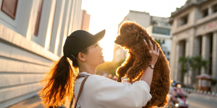 The Best Neighbourhoods in Singapore for Families with Pets