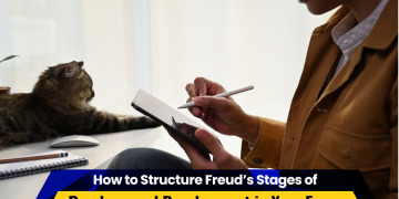 How to Structure Freud’s Stages of Psychosexual Development in Your Essay
