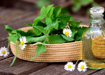 Herbal Remedies Grow Your Own Healing Garden at Home in Singapore