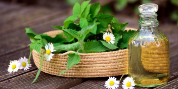 Herbal Remedies Grow Your Own Healing Garden at Home in Singapore