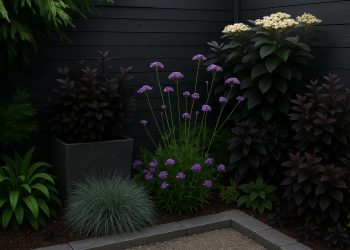 Modern garden featuring dark-colored foliage and decor enhancing outdoor space aesthetics