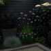 Modern garden featuring dark-colored foliage and decor enhancing outdoor space aesthetics